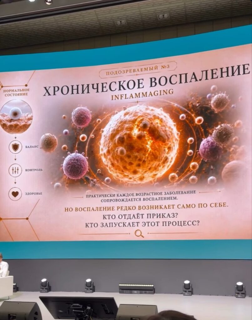 Наука против старения. Кирилл Маслиев — о «серых кардиналах» longevity и факторах старения