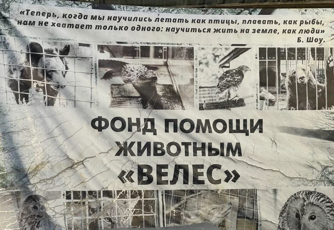 Как крупный бизнес снижает объемы пищевых отходов и спасает диких животных