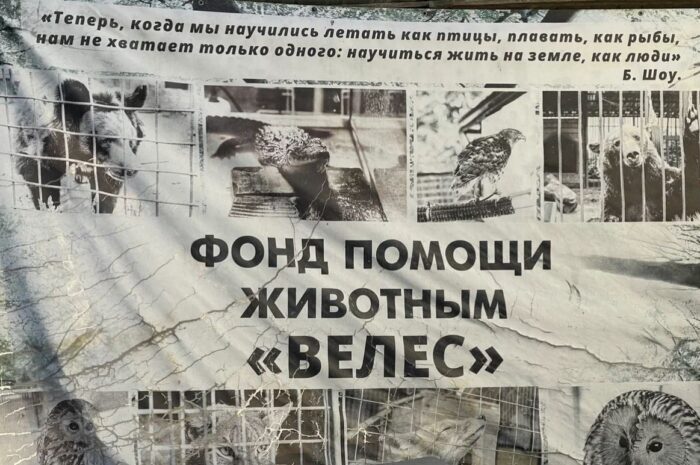 Как крупный бизнес снижает объемы пищевых отходов и спасает диких животных